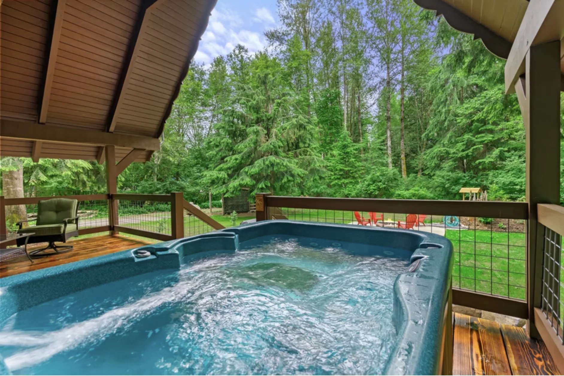 Morning light through the forest canopy